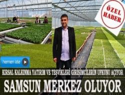 Samsun Karadenizin sebze fidesi merkezi oluyor