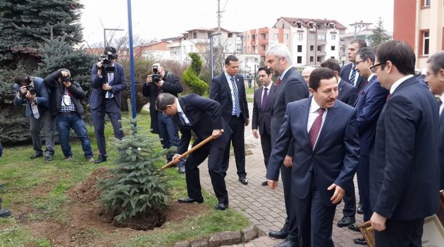 Ahmet Davutoğlu Ordu'da Fidan dikti