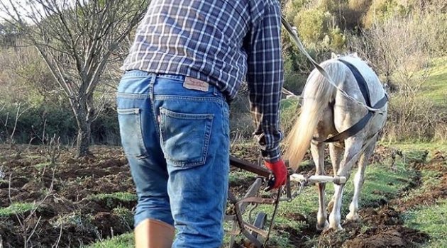 Anadolu'da 'atlı-sabanlı' çift sürmeye devam..