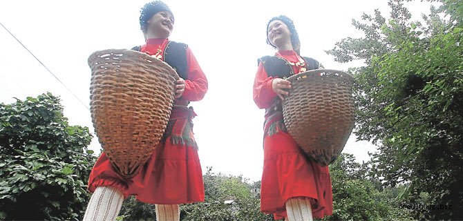 Ankara'da Fındık İstişaresi