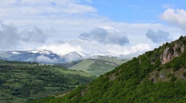 Ardahan'ın yükseklerine kar yağdı