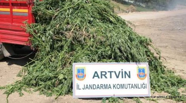 Artvin'de uyuşturucu operasyonu