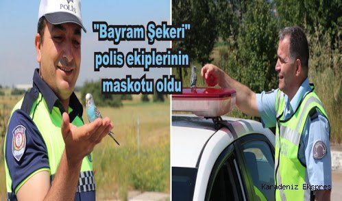 Bayram şekeri polis ekiplerinin maskotu oldu