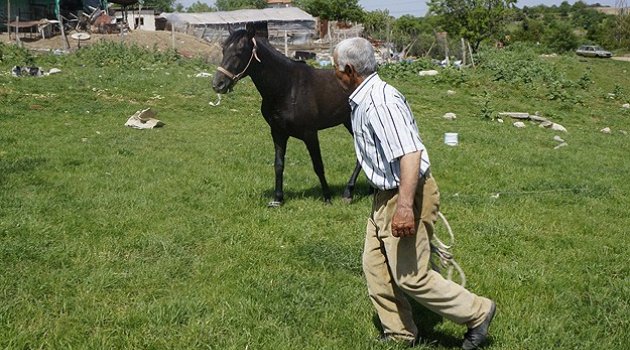 Beş bin lira maaşlı çoban işi bıraktı