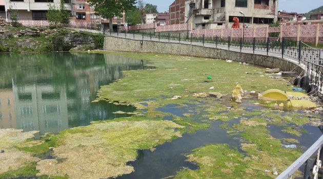 Bu görüntü Gölköy'e yakışıyor mu?