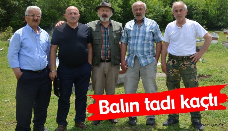 Bu Sene Balın tadı kaçtı