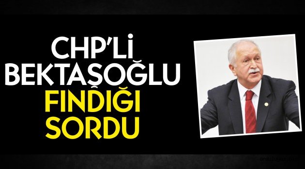 CHP’li Bektaşoğlu fındığı sordu