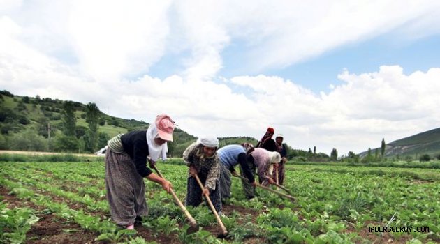 Çiftçiye Hibe ve Kredi Desteği Başladı