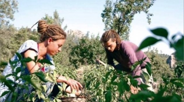 Doğal Hayata özlem duyan Şehir çocukları