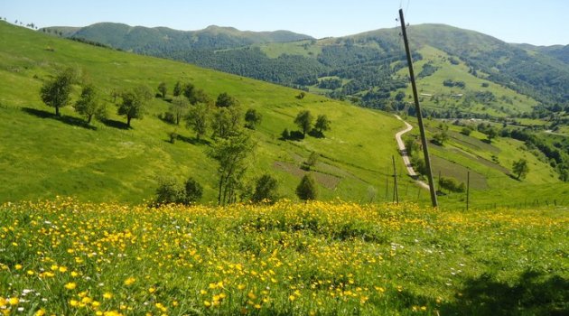 Doğudaki Terör Olayları Karadeniz Turizmini Hareketlendirdi