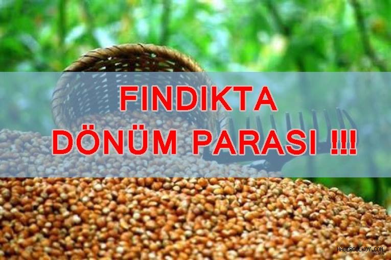 Dönüm parası için başvuruyu kaçıran üreticiler Temmuz’u beklesin