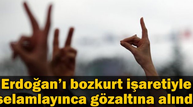 Erdoğan'ı bozkurt işaretiyle selamladı gözaltına alındı!