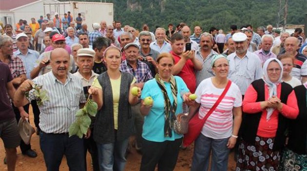 Fatsa'da Siyanür Tepkisi Gittikçe Büyüor