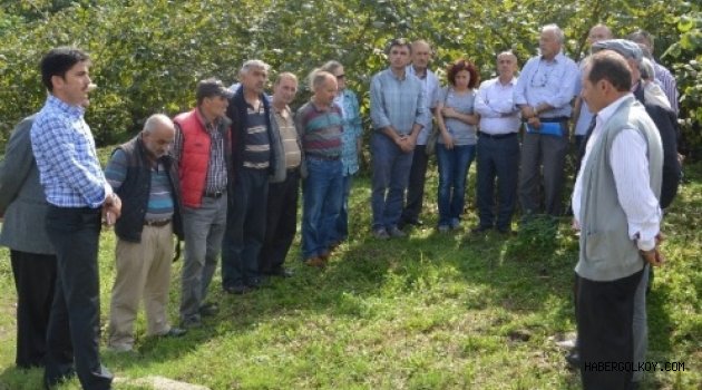 Fındığı Sertifikalı Üreticiler Bahçeleyecek