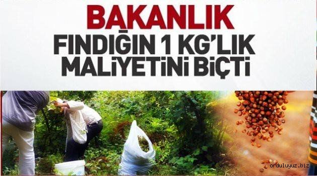 FINDIĞIN MALİYETİ NE OLDU?