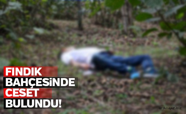 Fındık bahçesinde ceset bulundu!