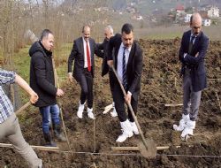 Fındık bahçesine DEVLET ELİ!