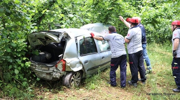 Fındık bahçesine devrilen otomobilin sürücüsü yaralandı