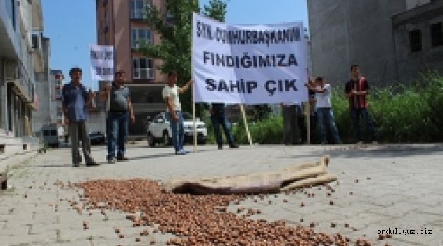 Fındık döküp, siyah çelenk bırakarak fındık fiyatını protesto ettiler!