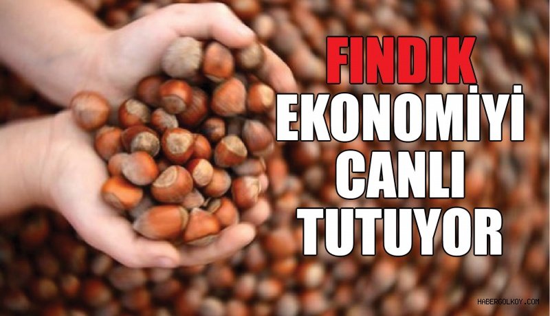 FINDIK EKONOMİYİ CANLI TUTUYOR