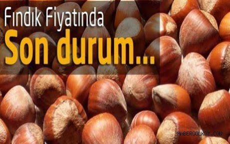 Fındık Fiyatları Yükselişe Geçti