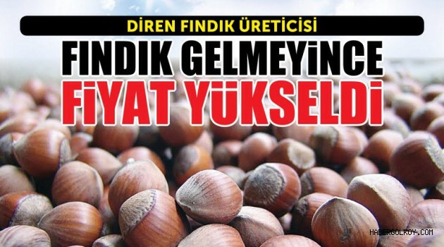 FINDIK GELMEYİNCE FİYAT YÜKSELDİ