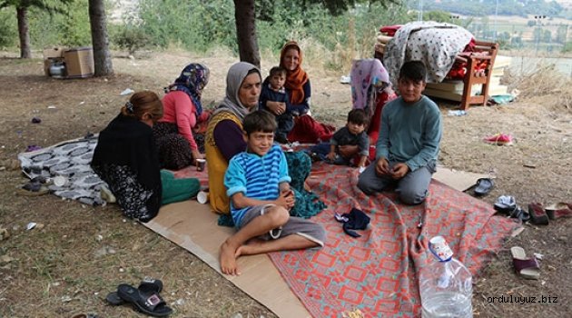 Fındık Toplamak İçin Gelen Genç Kız Yaşam Mücadelesi Veriyor