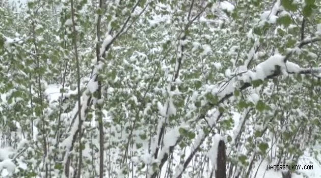 Fındık Üreticileri sigorta kabul sürelerini kaçırmamalı