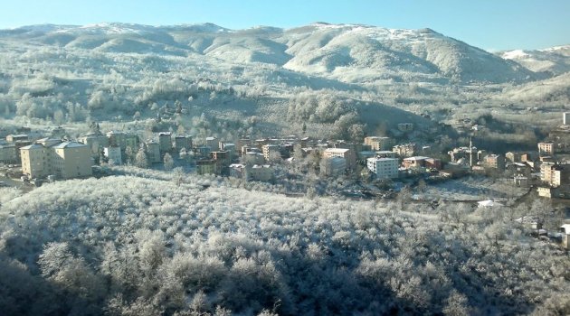 Fındık üreticisinin eli yüreğinde