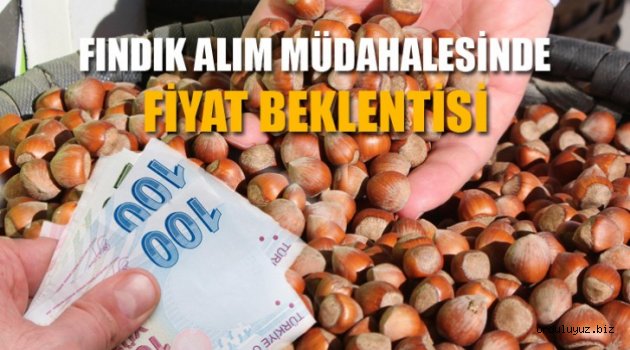 Fındıkta Müdahale Alımı ve Fiyat Beklentisi