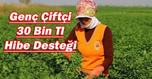 Genç Çiftçi Hibe Başvurusu Nasıl Yapılır?