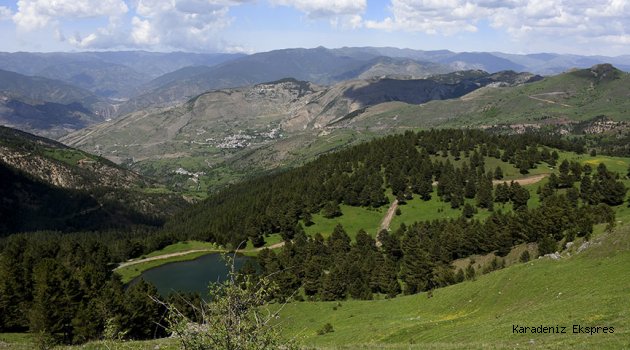 Gümüşhane yaylaları huzur vadediyor