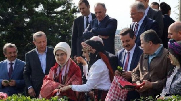 Hükümet Sözcüsü "Yargı Cumhurbaşkanı'na bağlı" dedi, peki anayasa ne diyor?