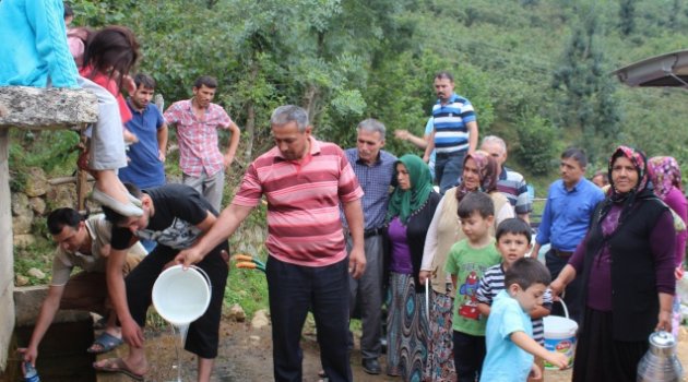 KABATAŞ İLÇEMİZDE SUSUZLUK ÖLÜME YOL AÇTI