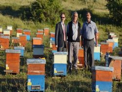 Karadeniz arıcılarına cazip şeker projesi