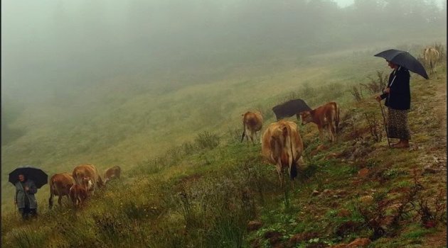 Karadeniz kıyılarına metrekareye 100 kiloya kadar yağış uyarısı