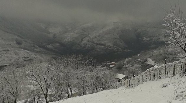 Karadeniz'de "Zirai Don" Uyarısı Yapıldı