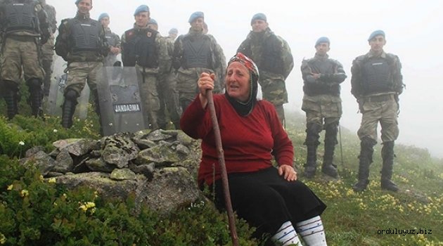 Karadeniz'in doğasını katledecek 'Yeşil Yol' yeniden çalışma başlatıldı!