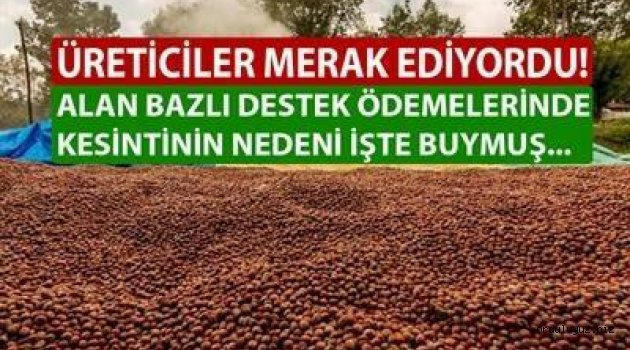 KESİNTİNİN NEDENİ BELLİ OLDU