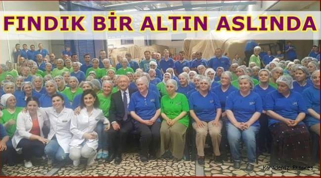 Kılıçdaroğlu: Elimizde bir altın var. Fındık bir altın aslında