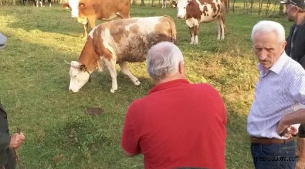 Köylerde Kurban Hareketliliği Başladı..