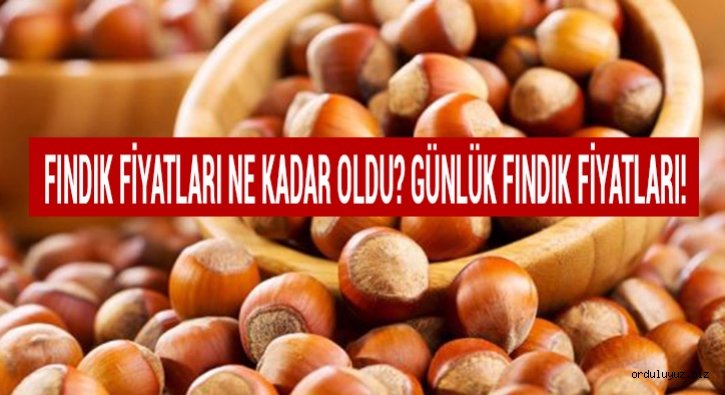 Mart Ayı Fındık Fiyatları Ne Kadar? İl İl Fındık Fiyatları