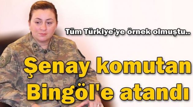 Mesudiye'de Gönüllere Taht Kuran Şenay Komutan Bingöl'e atandı