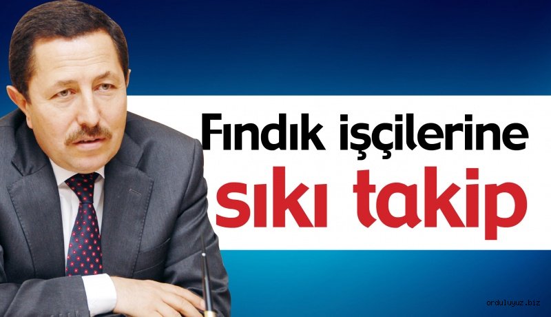 Mevsimlik Fındık işçilerine sıkı takip geliyor