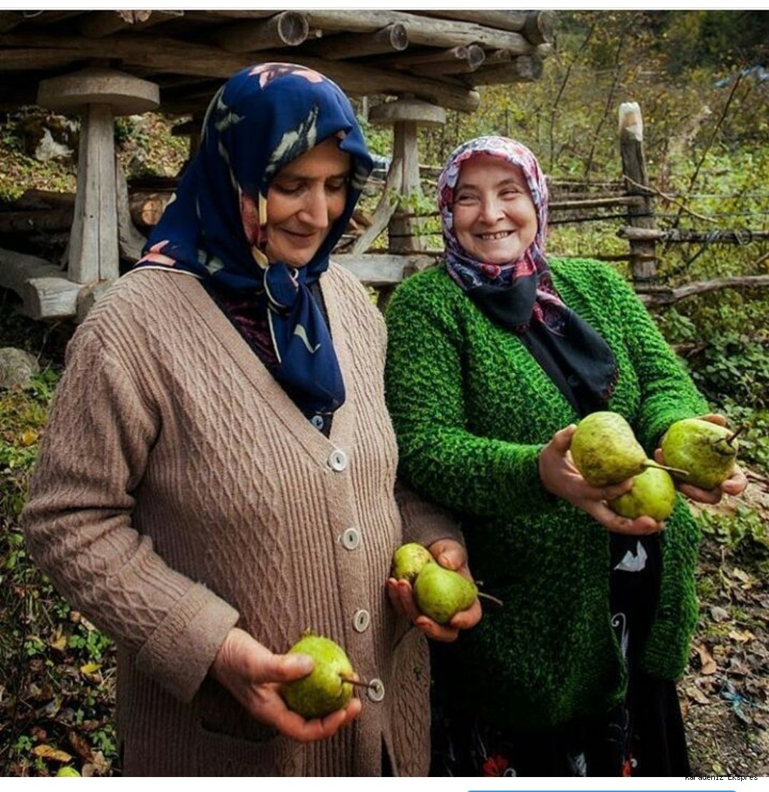 Milletvekili adayı Yediyıldız Fatsa'da