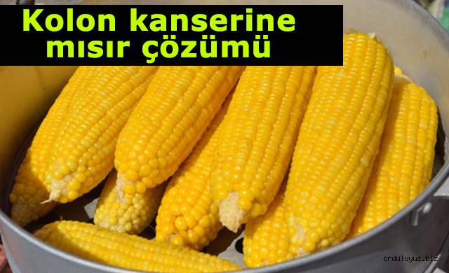 Kolon Kanserine Mısırlı Çözüm!...