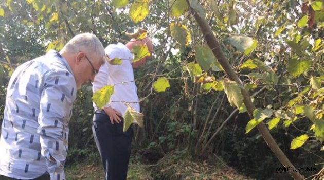 ORDU ÇEVRE YOLU’NU HEYELANLAR GEÇİT VERMİYOR