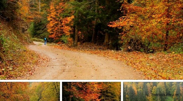 Ordu’nun Sonbahar Güzellikleri Ulusal Medyada Tanıtılacak