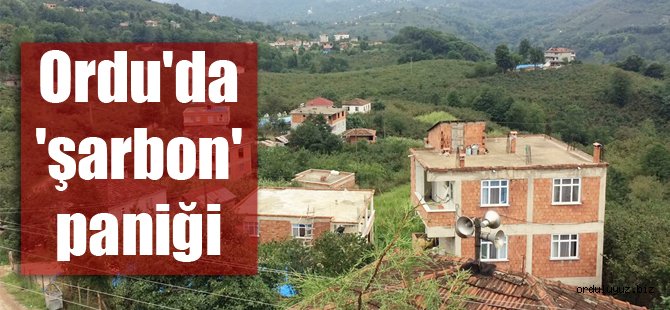 Ordu Valiliği Şarbon Hastalığı İle İlgili Basın Duyurusu Yaptı