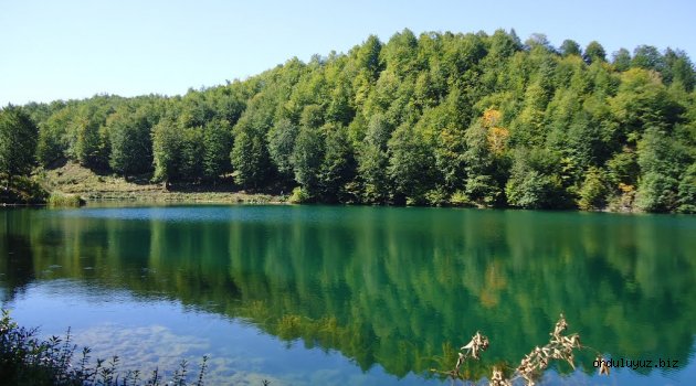 ORDU'DA BİR MUHTEŞEM GÜZELLİK: ULUGÖL TABİAT PARKI